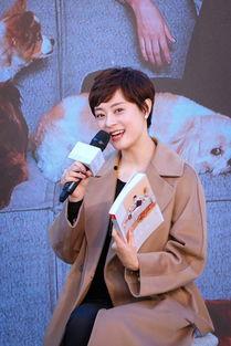 娱乐爆料孙俪,揭秘她的生活点滴与演艺事业